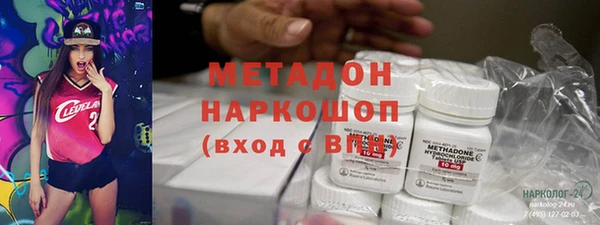 индика Нягань