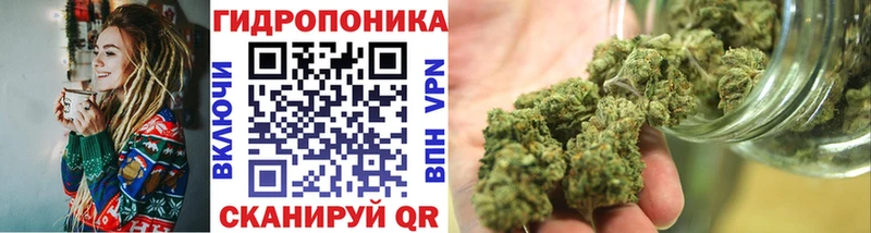 Каннабис семена  купить наркотик  Краснозаводск 